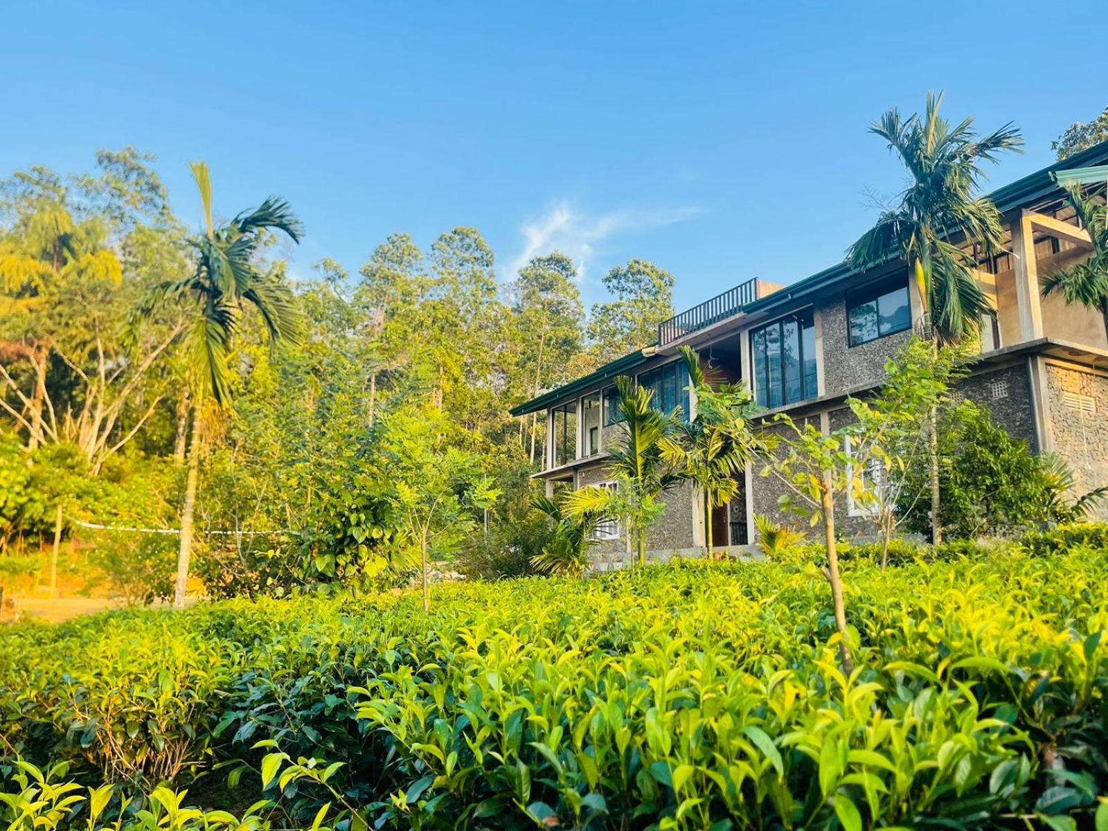 Palabaddala Tea And Eco Lodge Ratnapura Exteriér fotografie