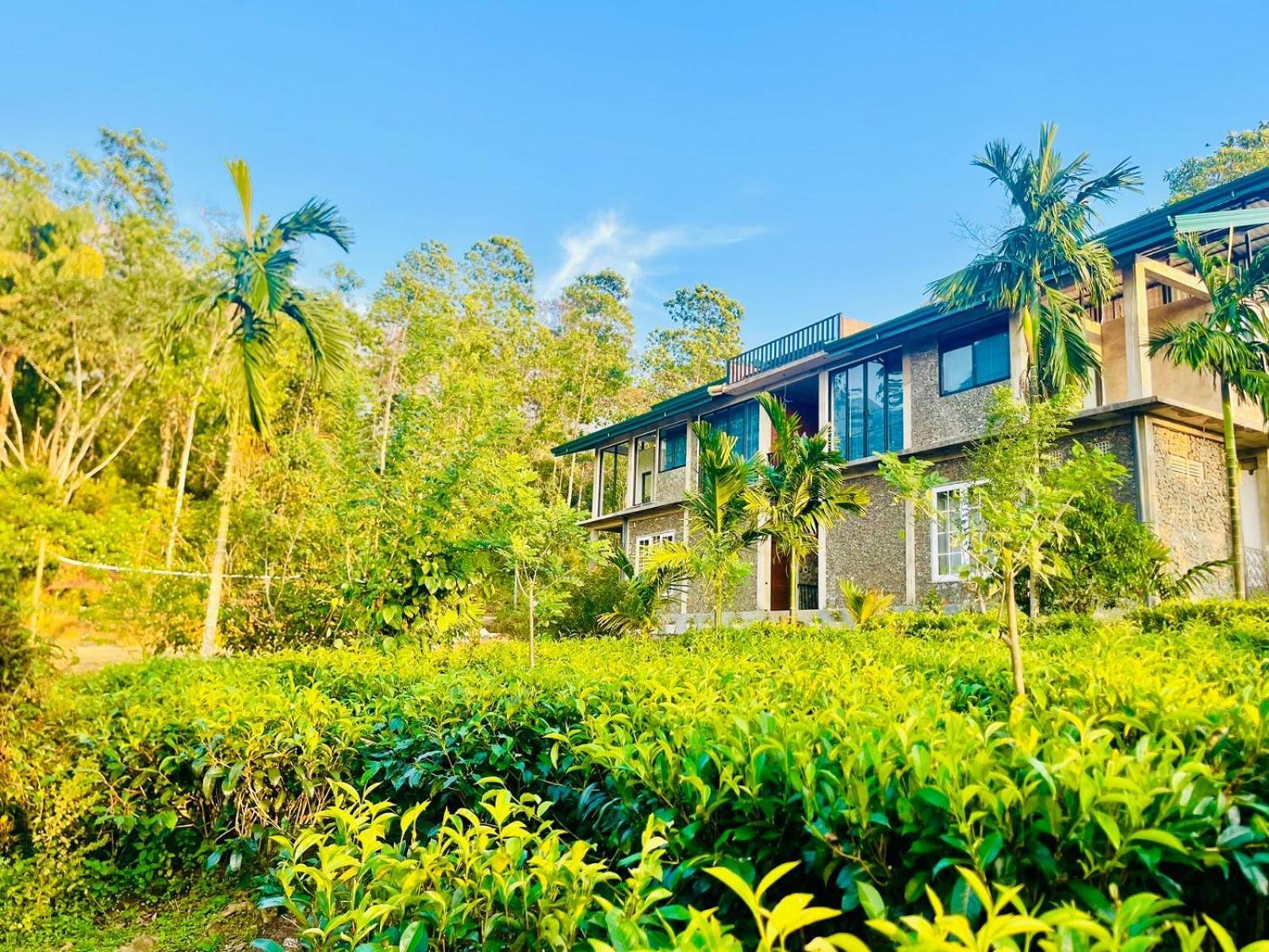 Palabaddala Tea And Eco Lodge Ratnapura Exteriér fotografie