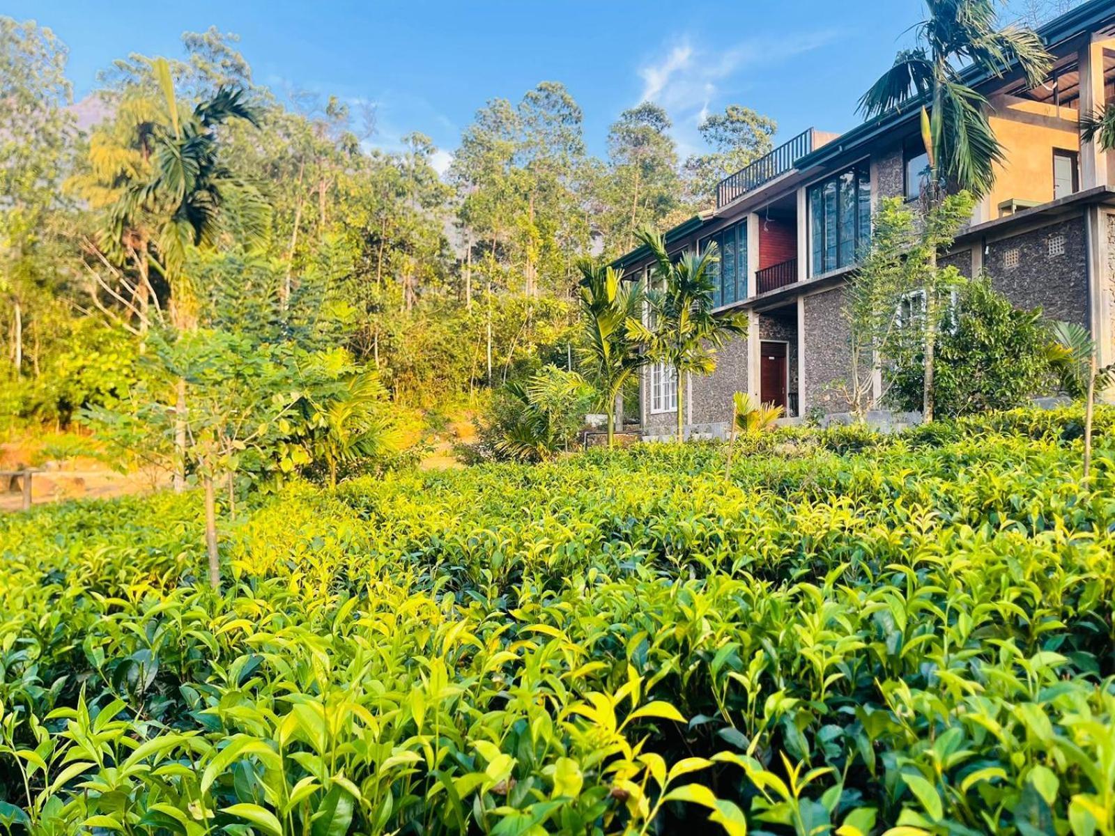 Palabaddala Tea And Eco Lodge Ratnapura Exteriér fotografie