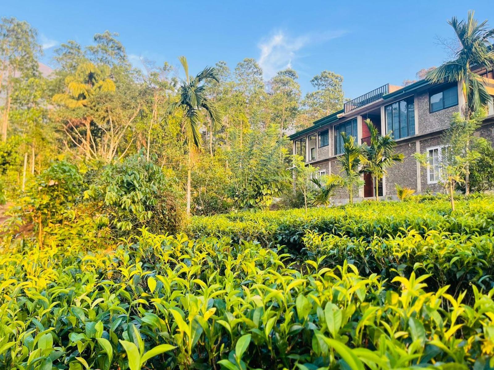 Palabaddala Tea And Eco Lodge Ratnapura Exteriér fotografie