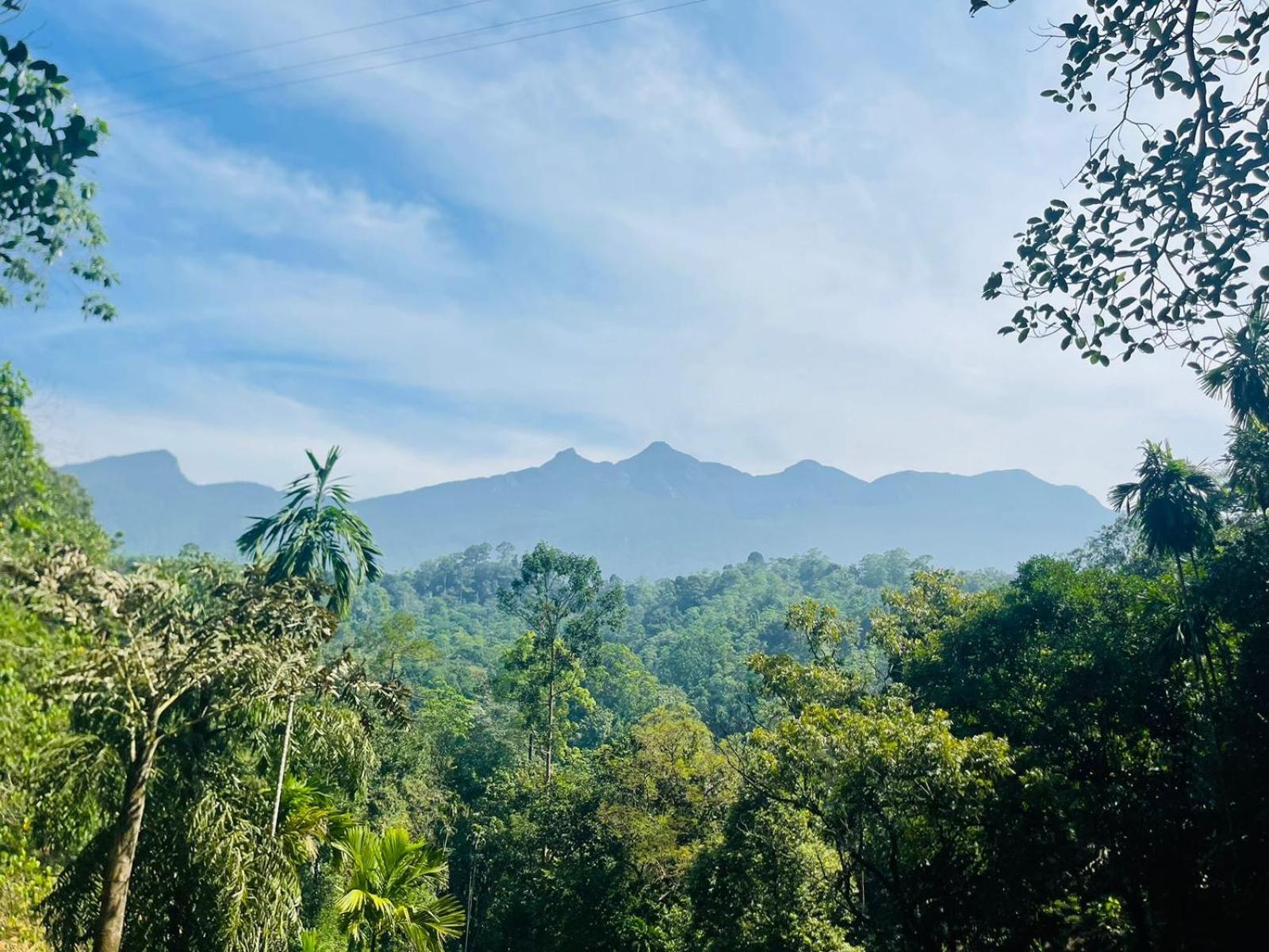 Palabaddala Tea And Eco Lodge Ratnapura Exteriér fotografie